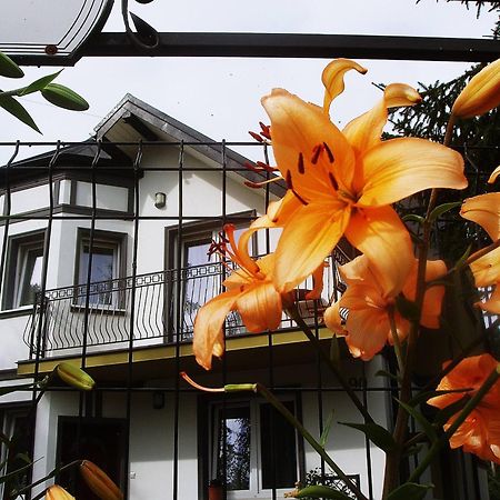 Villa Hasaba 크로시엔코 외부 사진