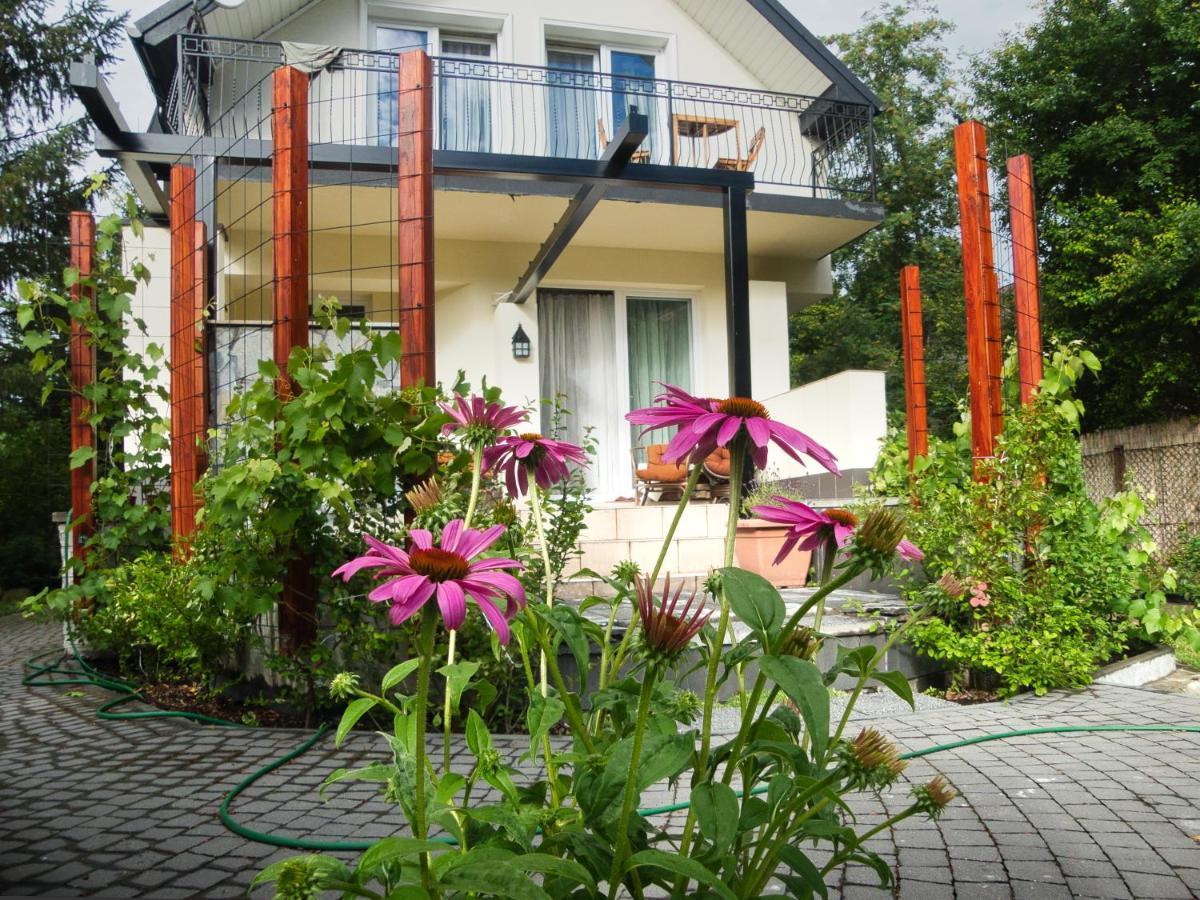 Villa Hasaba 크로시엔코 외부 사진
