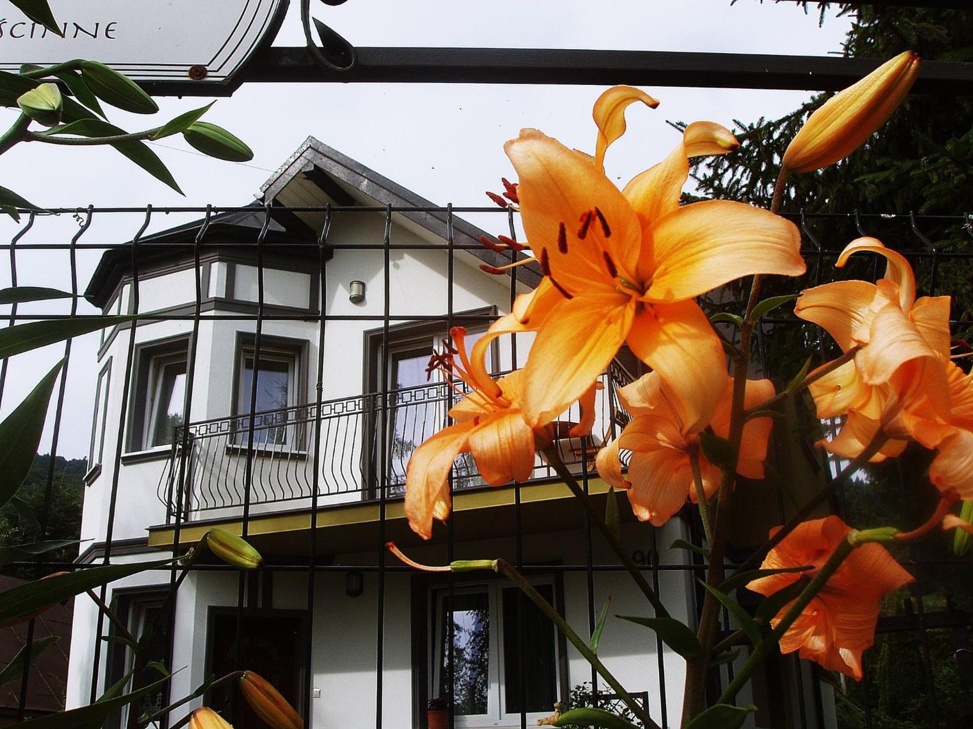 Villa Hasaba 크로시엔코 외부 사진