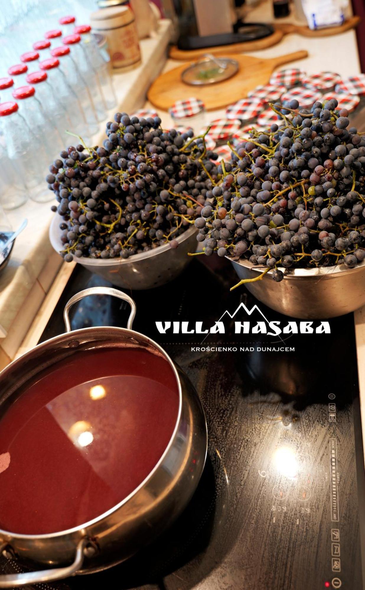 Villa Hasaba 크로시엔코 외부 사진