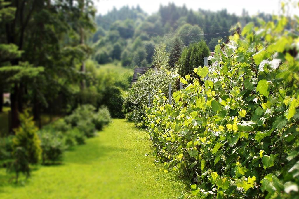 Villa Hasaba 크로시엔코 외부 사진